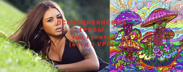 Альфа ПВП Новодвинск