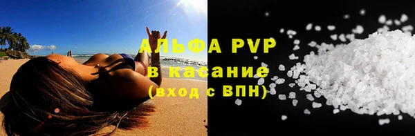 прущие крисы Новозыбков