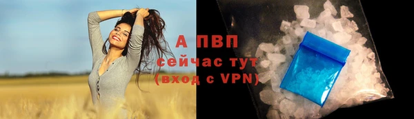 прущие крисы Новозыбков