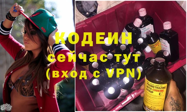 прущие крисы Новозыбков
