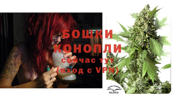 Альфа ПВП Новодвинск