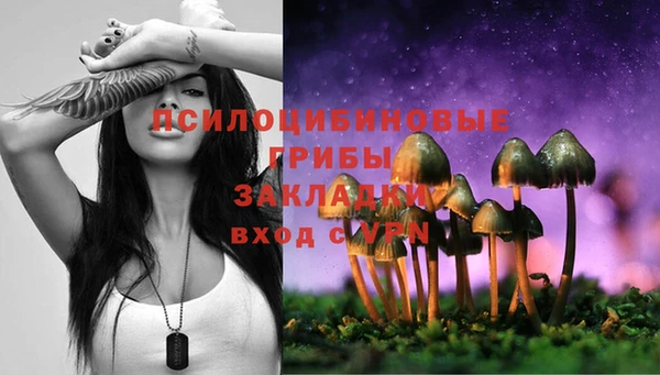 Альфа ПВП Новодвинск