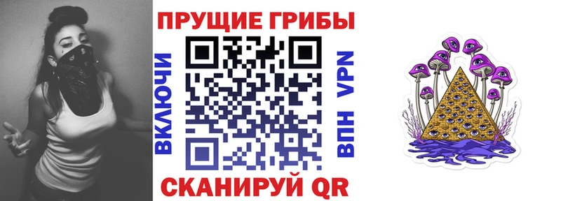 Галлюциногенные грибы MAGIC MUSHROOMS  купить наркотики цена  Тайшет 