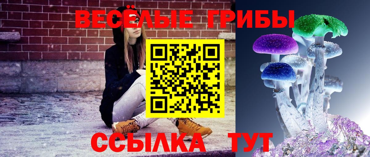 как найти наркотики  Вход с VPN  Тайшет  Галлюциногенные грибы Magic Shrooms 